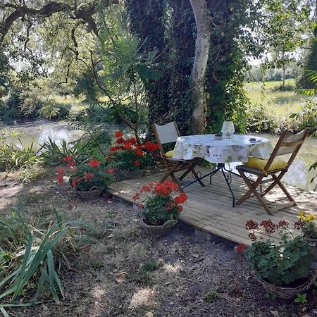 Gite " Jardin Peyrona" Visite Zoo Beauval Et Chateaux De Loire Beaulieu-lès-Loches Zewnętrze zdjęcie