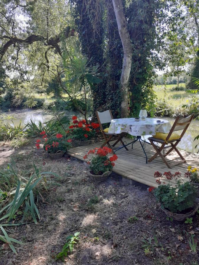 Gite " Jardin Peyrona" Visite Zoo Beauval Et Chateaux De Loire Beaulieu-lès-Loches Zewnętrze zdjęcie