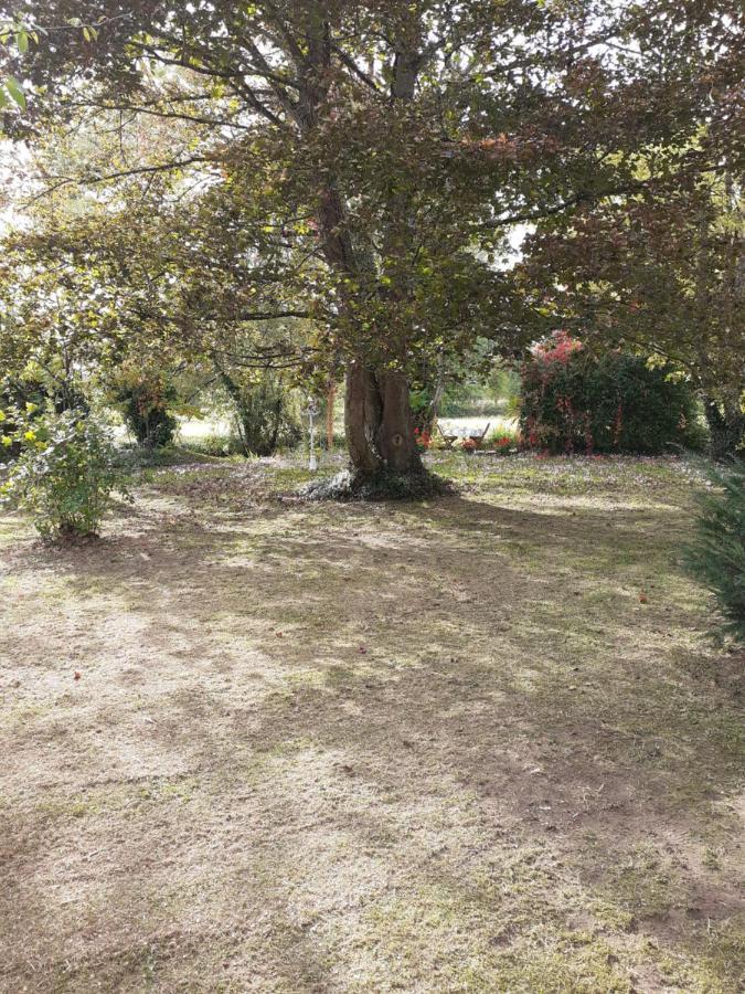 Gite " Jardin Peyrona" Visite Zoo Beauval Et Chateaux De Loire Beaulieu-lès-Loches Zewnętrze zdjęcie