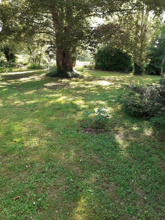 Gite " Jardin Peyrona" Visite Zoo Beauval Et Chateaux De Loire Beaulieu-lès-Loches Zewnętrze zdjęcie
