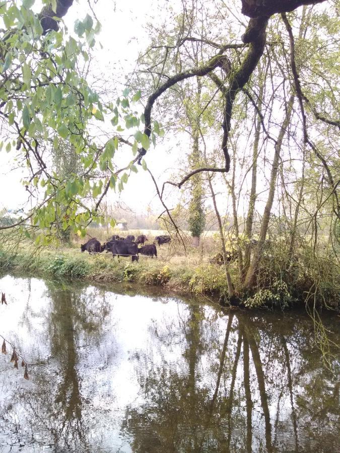 Gite " Jardin Peyrona" Visite Zoo Beauval Et Chateaux De Loire Beaulieu-lès-Loches Zewnętrze zdjęcie