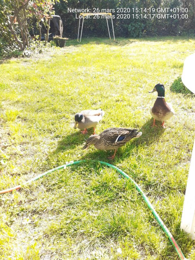 Gite " Jardin Peyrona" Visite Zoo Beauval Et Chateaux De Loire Beaulieu-lès-Loches Zewnętrze zdjęcie